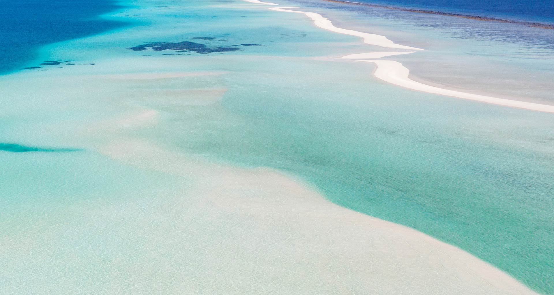 Error page 500 | MSC Cruises