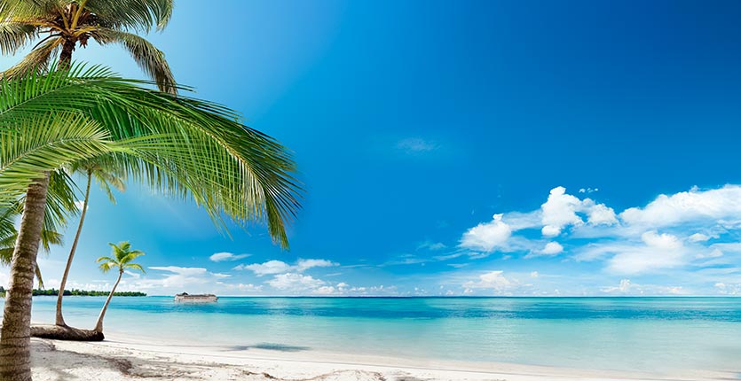 MSC Opera, Caribbean | MSC Cruises