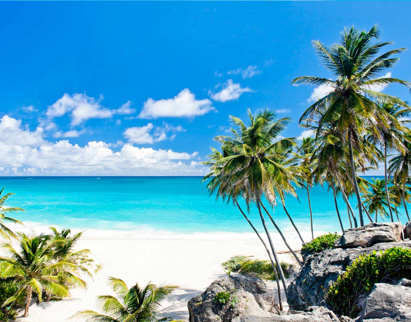 Tropical beach with turquoise water, white sand, and palm trees under a bright blue sky | MSC Cruises