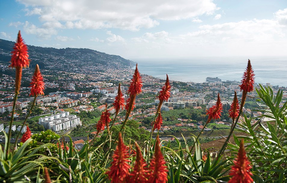 Madeira Cruises, Funchal | MSC Cruises