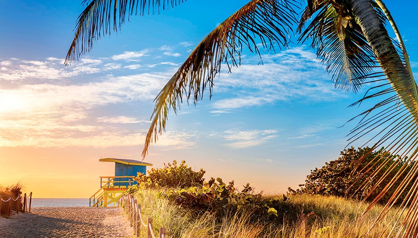 Caribbean cruises 2024, 2025 and 2026 | MSC Cruises