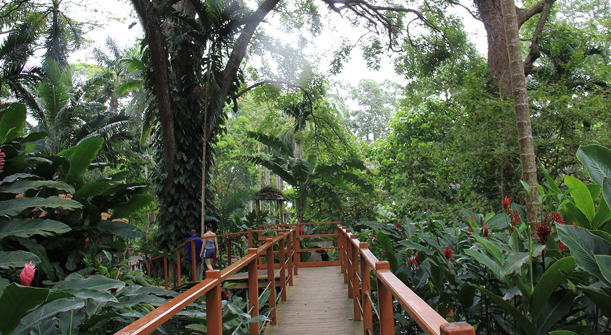 Jamaica cruises | MSC Cruises