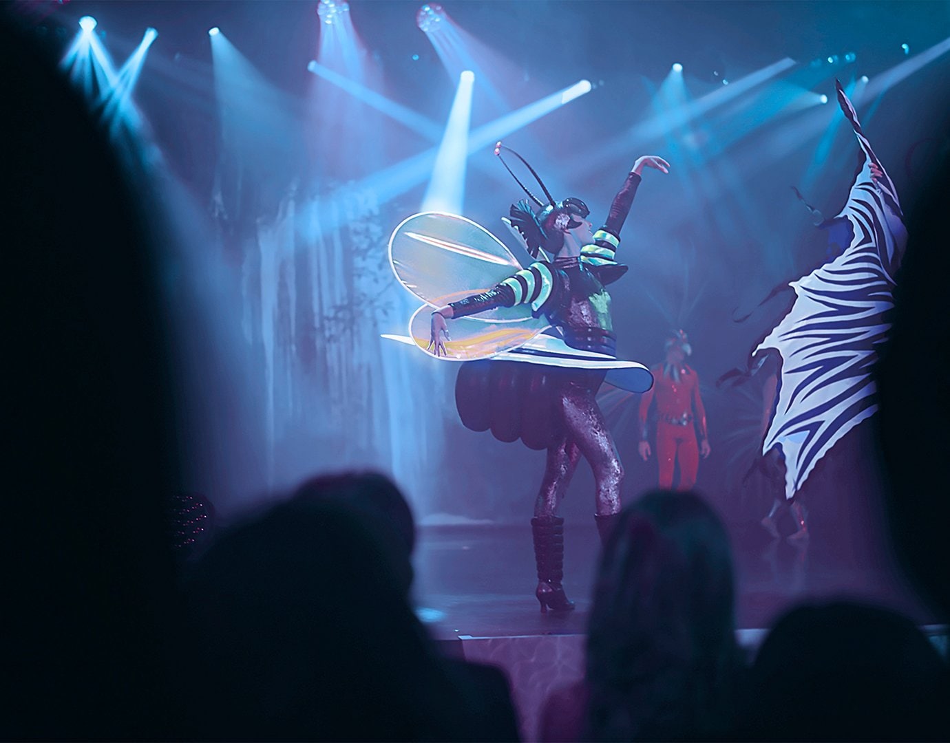 Transatlantic Cruises, Night activities| MSC Cruises Transatlantic Cruises, Night activities| MSC Cruises