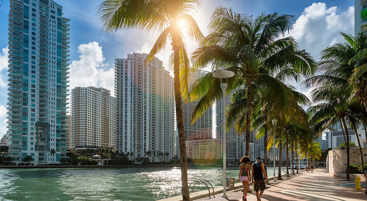 Ocean Cay MSC Marine Reserve, cruises from Miami| MSC Cruises