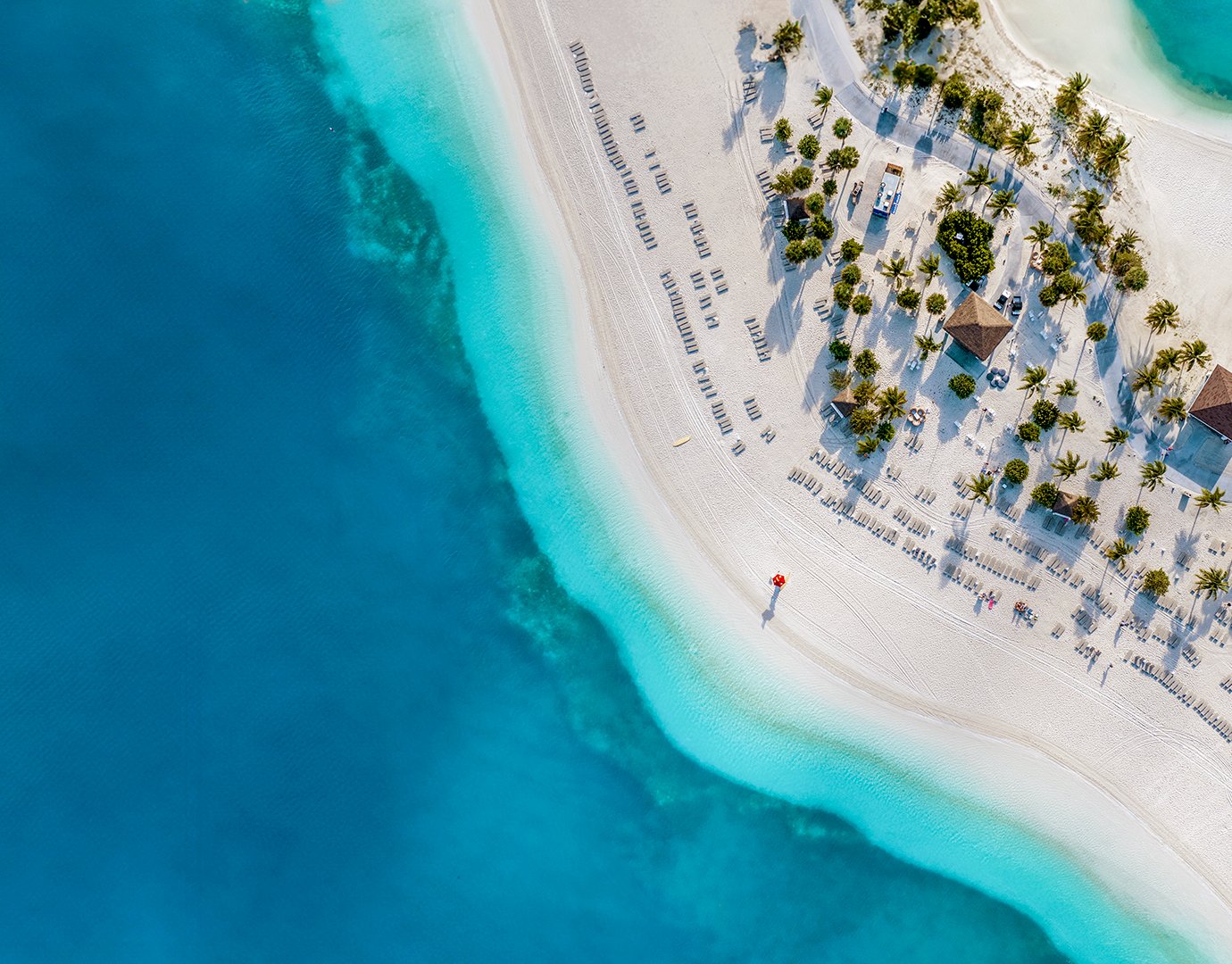 Ocean Cay MSC Marine Reserve, Beaches | MSC Cruises