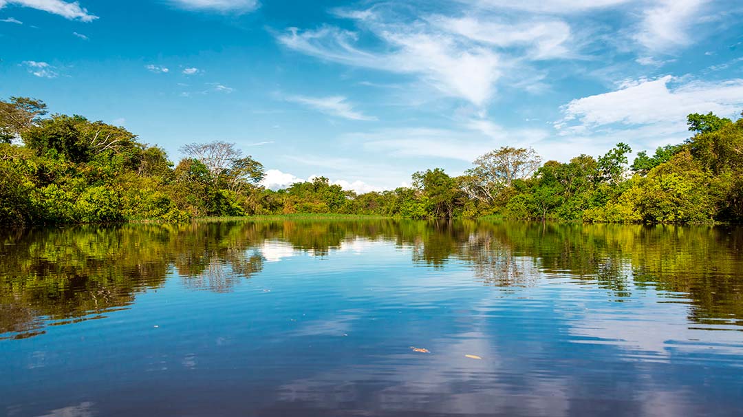 Fazendinha, cruise to Brazil | MSC Cruises