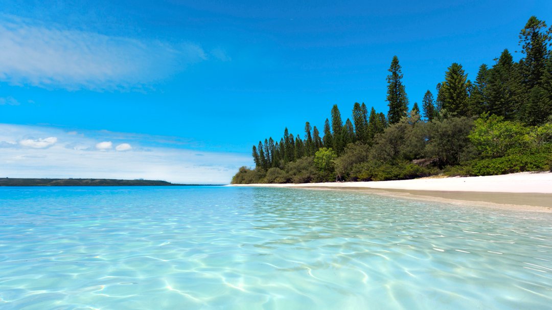 MSC World Cruise, Iles Des Pins | MSC Cruises