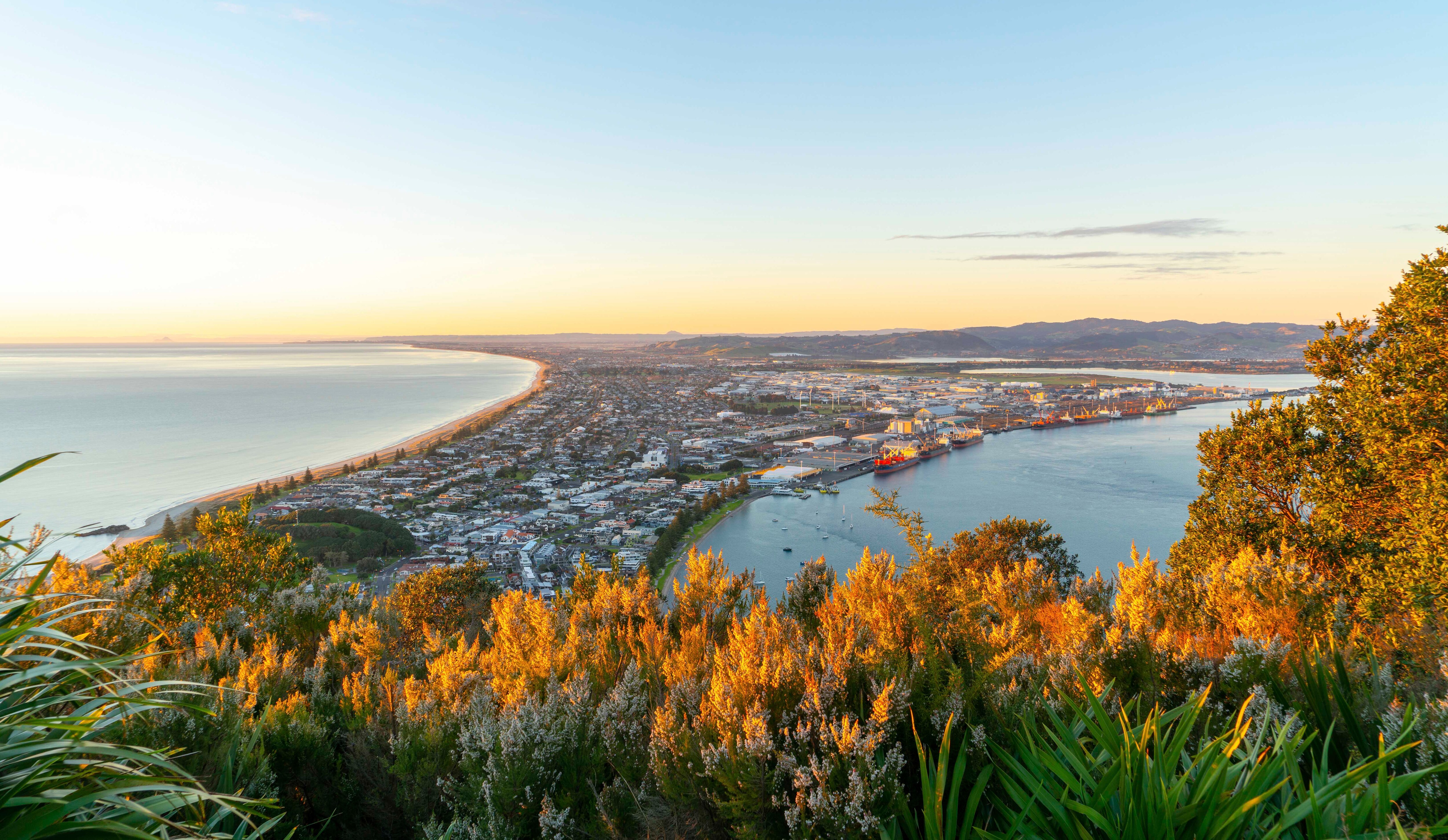 MSC World Cruise 2027, Tauranga - Landscape| MSC Cruises