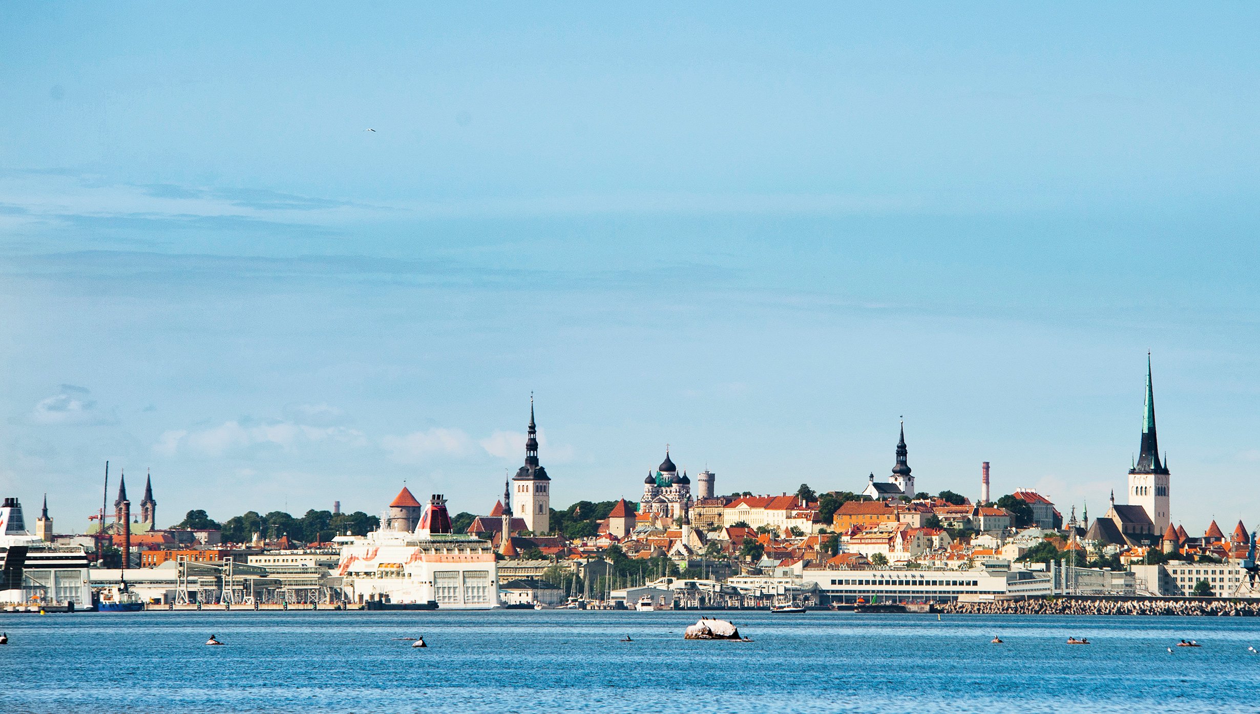 Tallin Cruise Tallin Cruise