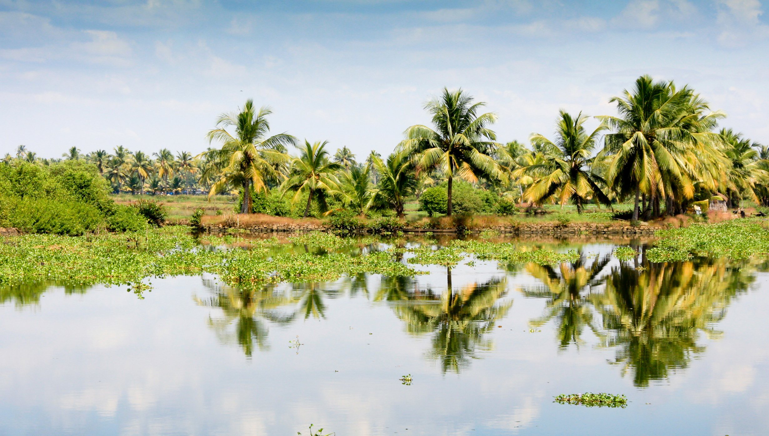 Cochin&nbsp;Cruise