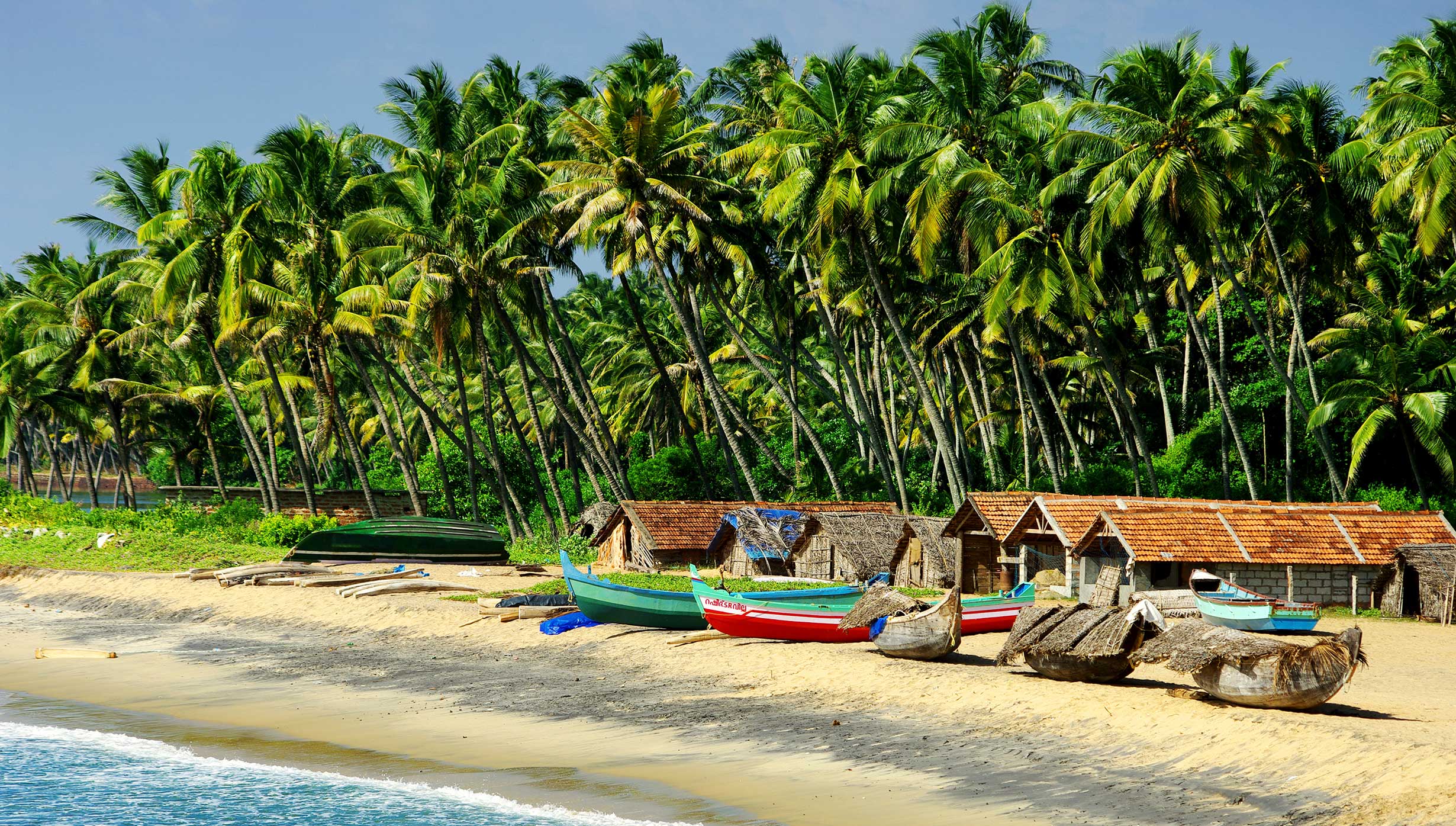 Image result for goa