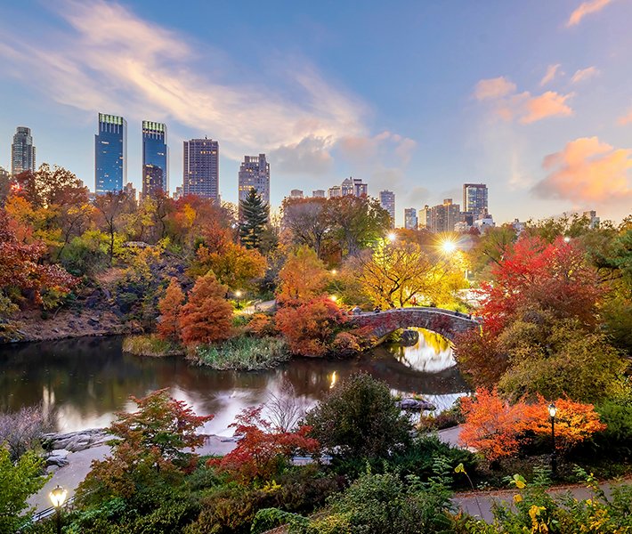 New York tours, Central Park | MSC Cruises