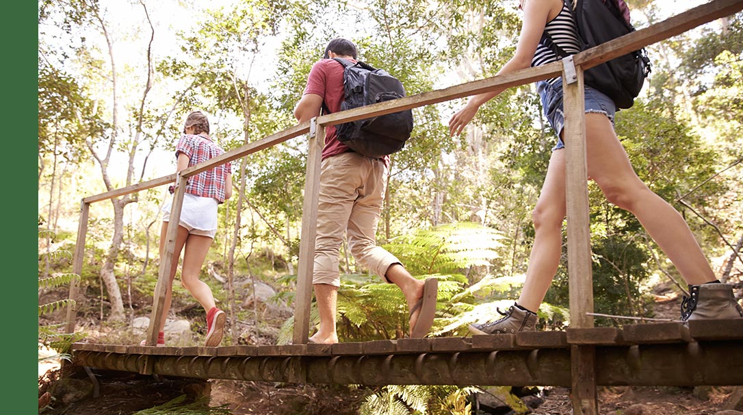 MSC Excursions, Protectours