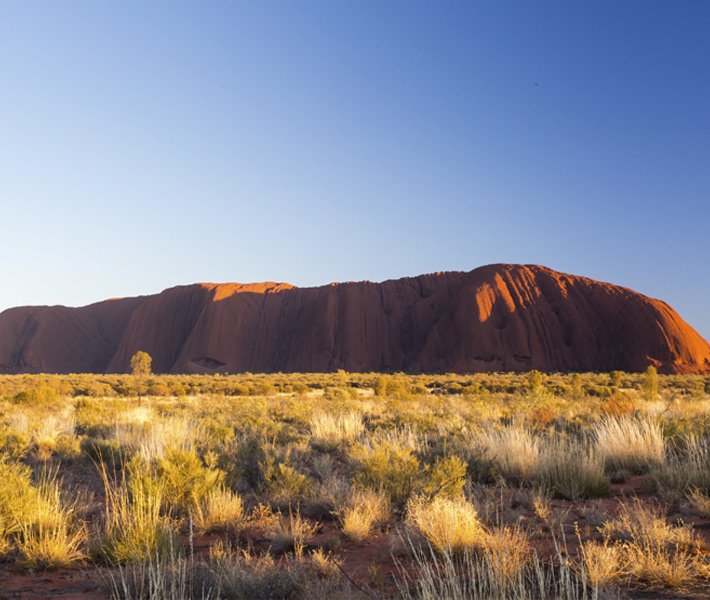 MSC Overland Tours - Cairns | MSC Cruises