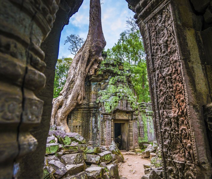 MSC Overland Tours - Penang| MSC Cruises