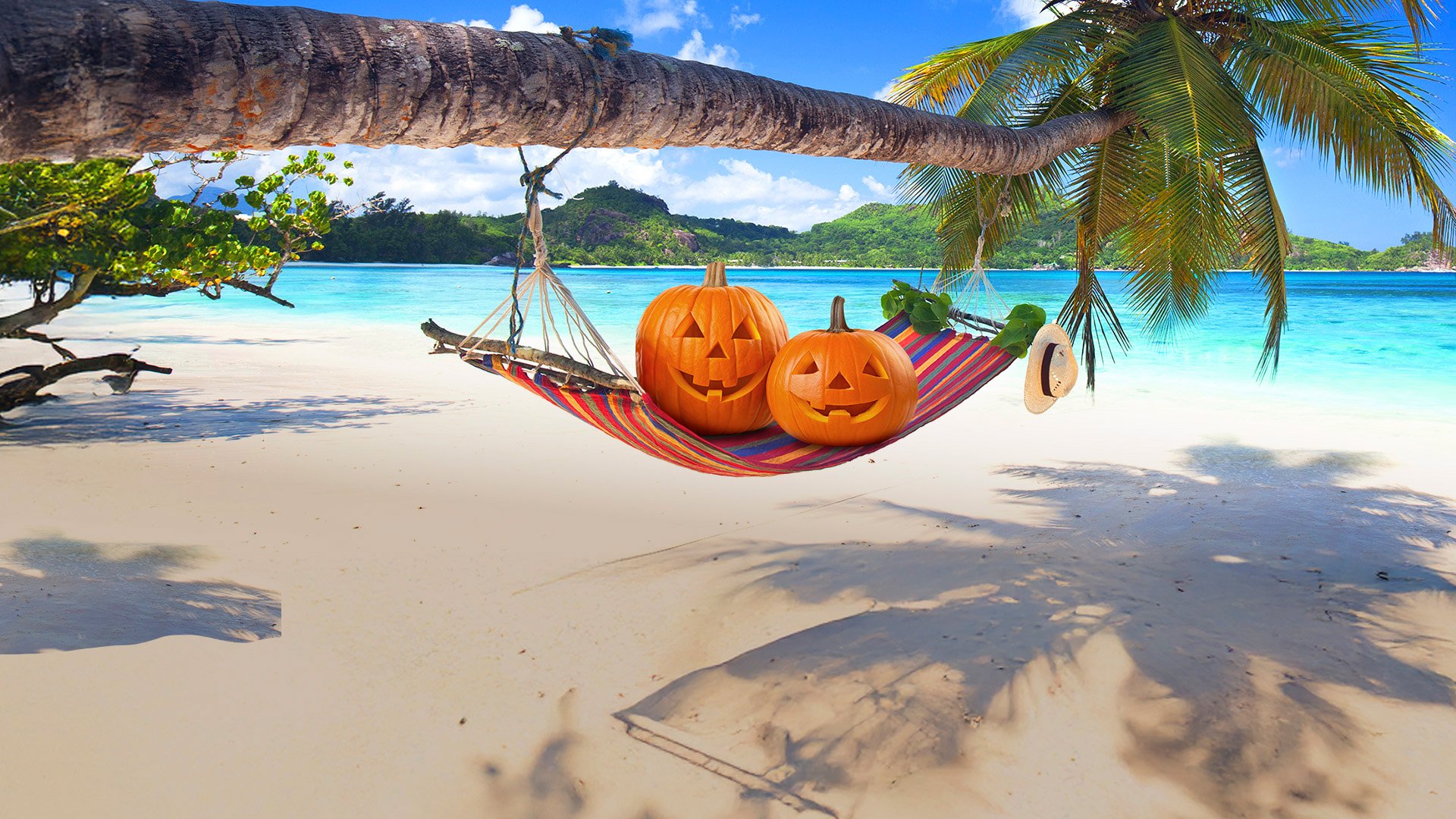 Halloween Deals | MSC Cruises