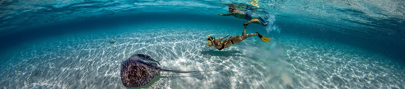 Exclusive MSC Yacht Club excursions | MSC Cruises