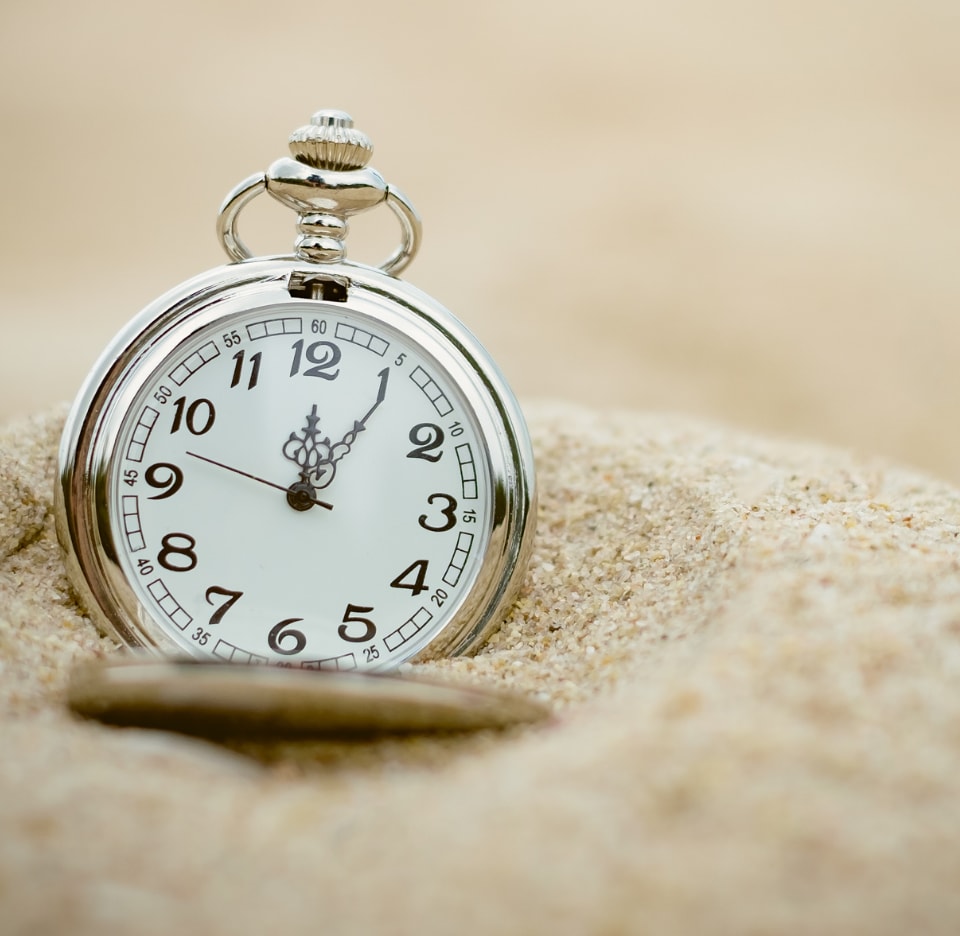 Last minute deal | MSC Musica 2024 Last minute deal | MSC Musica 2024