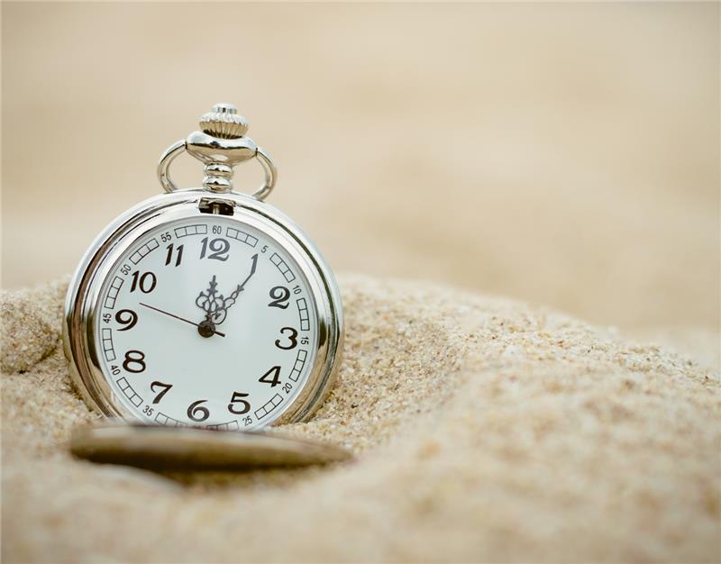 Last minute deal | MSC Musica 2024